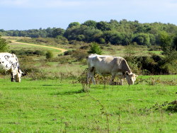 Oct 2013: 8C looking east